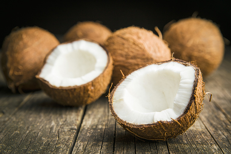 illustration Noix de coco (SENSORIALINE®)